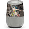 DC Comics Wonder Woman Vintage pose pattern Google Home Skin